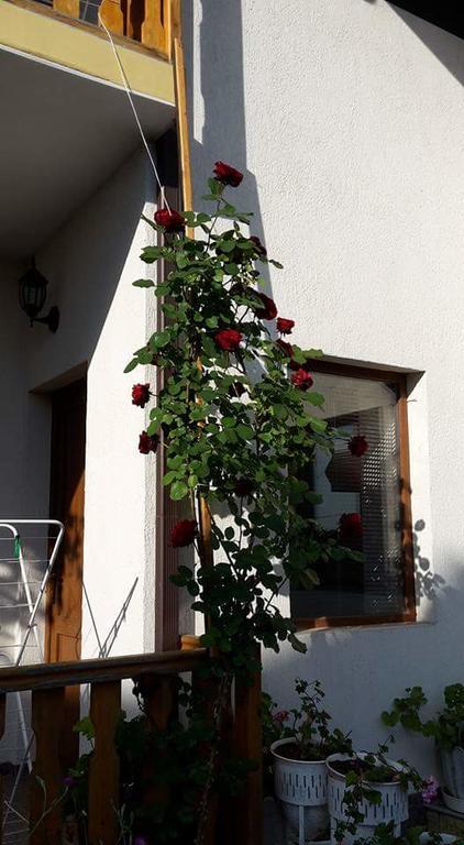 Guest House Nash Dom Kavarna Dış mekan fotoğraf